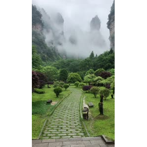 张家界805