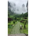 张家界805