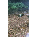 张家界826