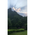 张家界833