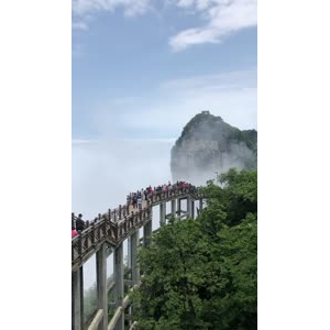 张家界837