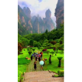 张家界849