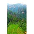 张家界851
