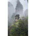 张家界855