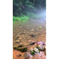 张家界859