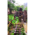 张家界867