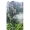 张家界869