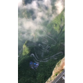张家界877