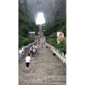 张家界879