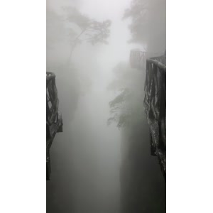 张家界881