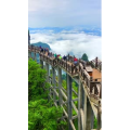 张家界883