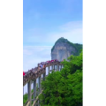 张家界895