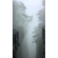 张家界898