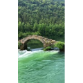 张家界901
