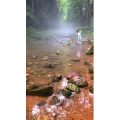 张家界903