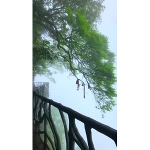 张家界904