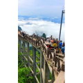 张家界905