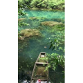 张家界909