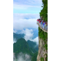 张家界917