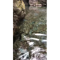 张家界921