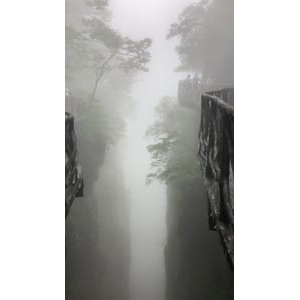 张家界922