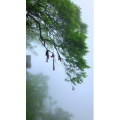 张家界925