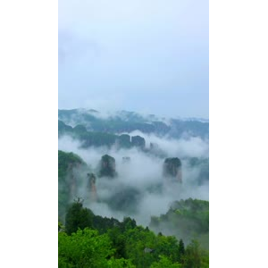 张家界926