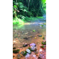 张家界930