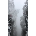 张家界944