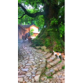 张家界945