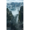 张家界229