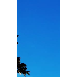 风景合集516