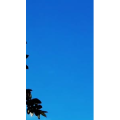 风景合集516