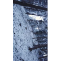 风景合集972