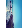 风景合集980