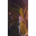 风景合集1008