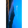 风景合集1020