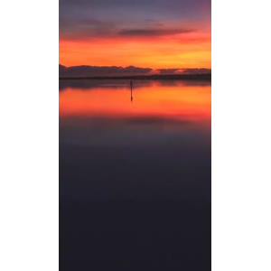 风景合集1022