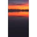 风景合集1022