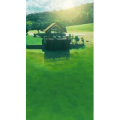 风景合集1025