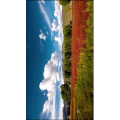 风景合集1039