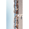 风景合集1041