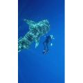 风景合集1043