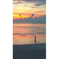 风景合集1052