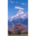 风景合集1057