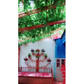 风景合集1104