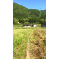 风景合集2467