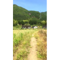 风景合集2468