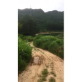 风景合集2653
