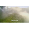 风景合集2897